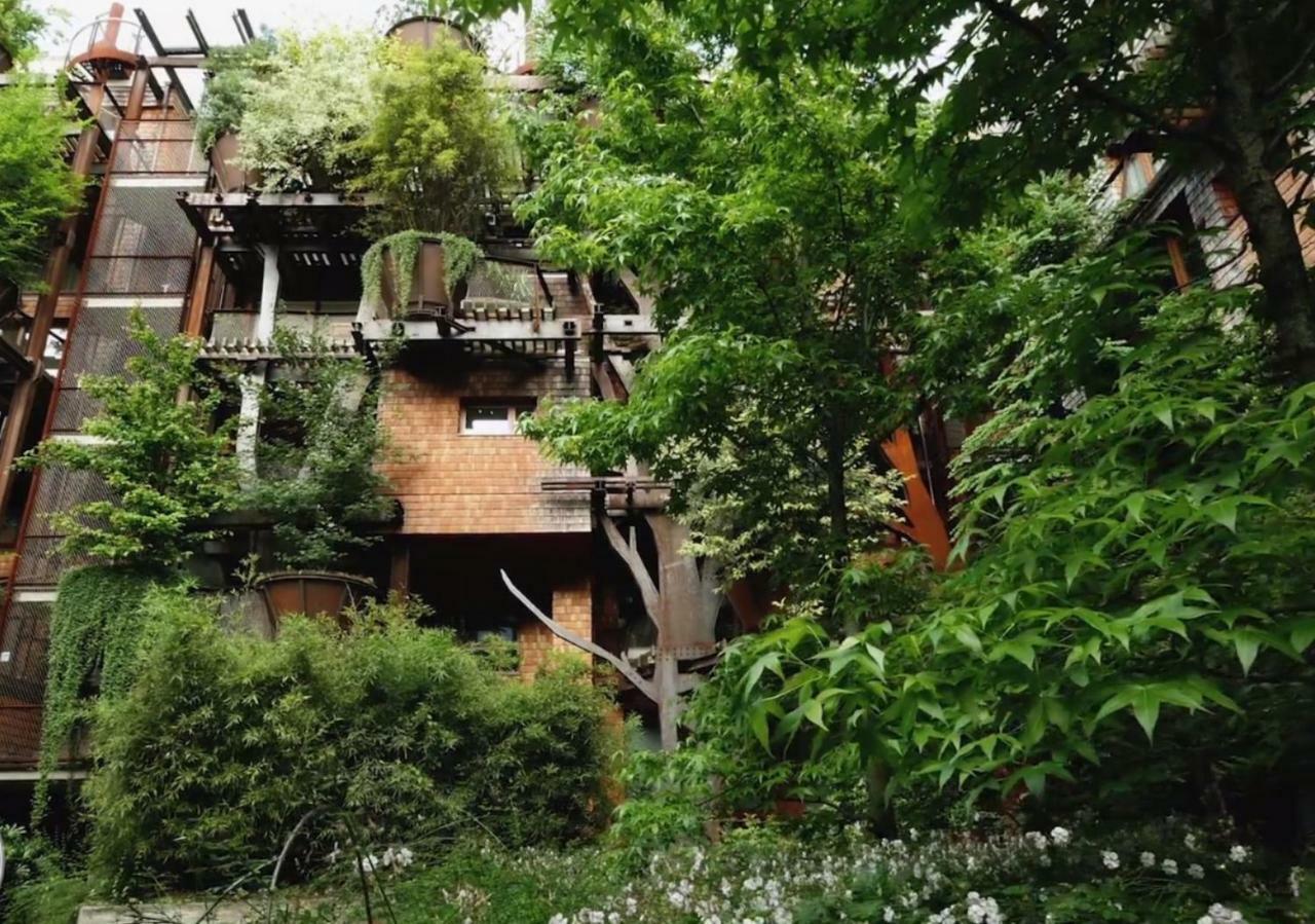 25 Verde Treehouse Loft *